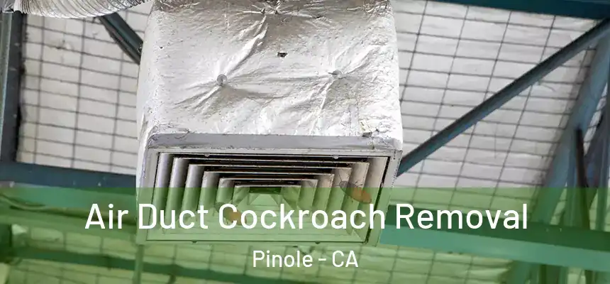 Air Duct Cockroach Removal Pinole - CA