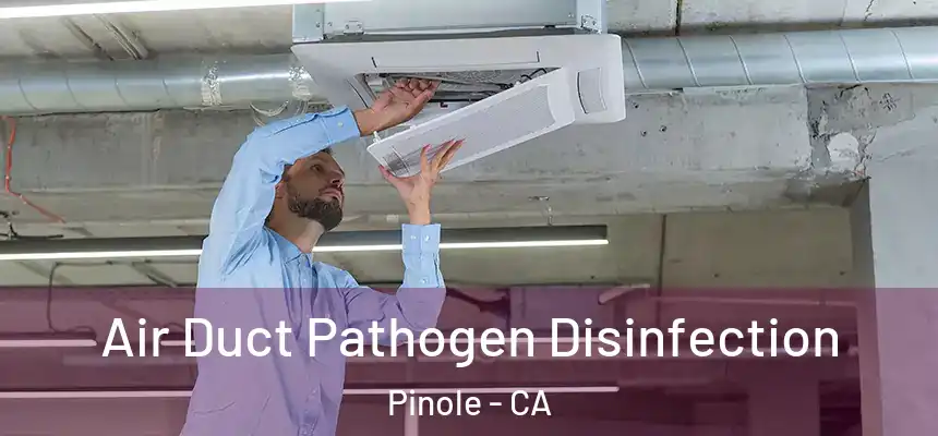 Air Duct Pathogen Disinfection Pinole - CA