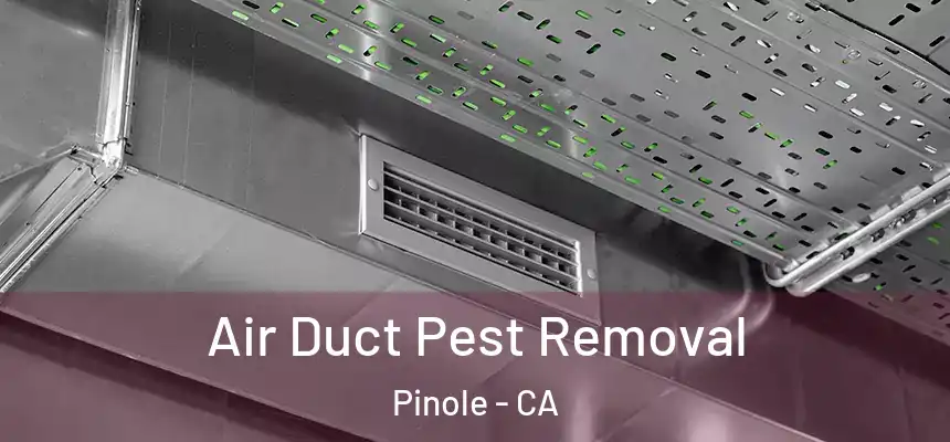  Air Duct Pest Removal Pinole - CA