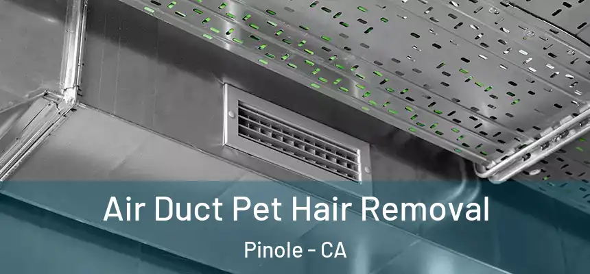 Air Duct Pet Hair Removal Pinole - CA