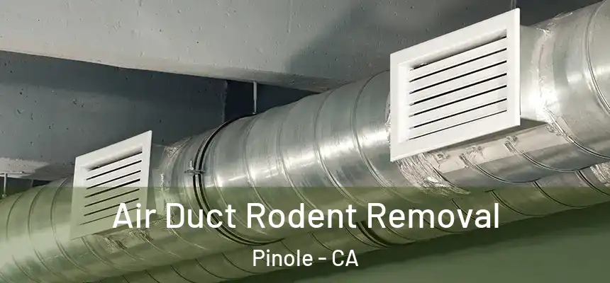 Air Duct Rodent Removal Pinole - CA