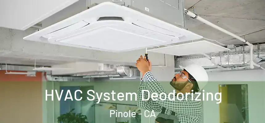 HVAC System Deodorizing Pinole - CA