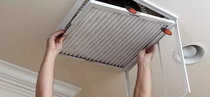 Preventive Cockroach-Proofing for Ducts in Pinole