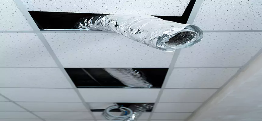 Our Air Duct Pet Hair Removal Services in Pinole, CA