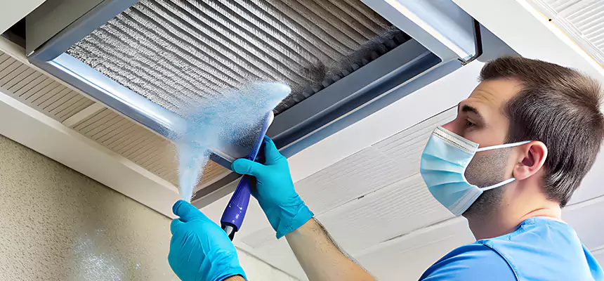 Proactive Dryer Vent & Auxiliary Duct Pollen Cleanup in Pinole, CA