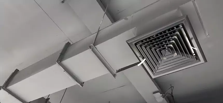 Our Rodent Droppings In Vents Services in Pinole, CA