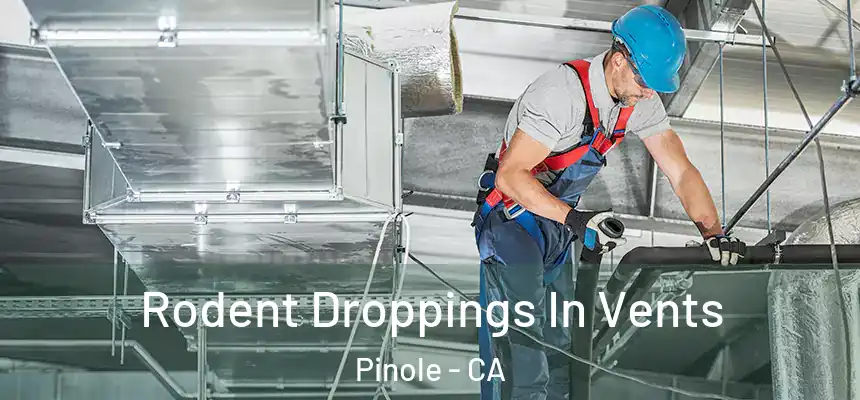 Rodent Droppings In Vents Pinole - CA
