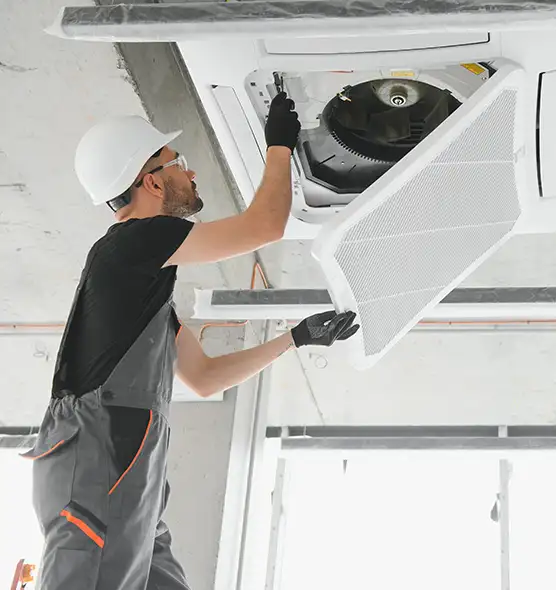 About Air Duct Rodent Removal in Pinole, CA