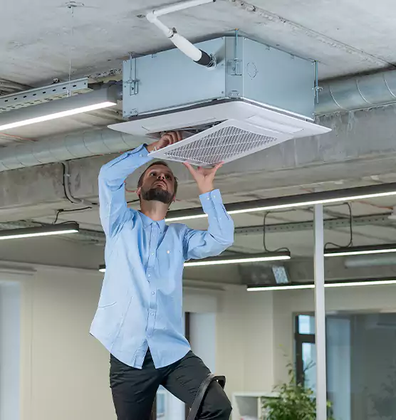 Advanced Rodent Droppings In Vents in Pinole, CA