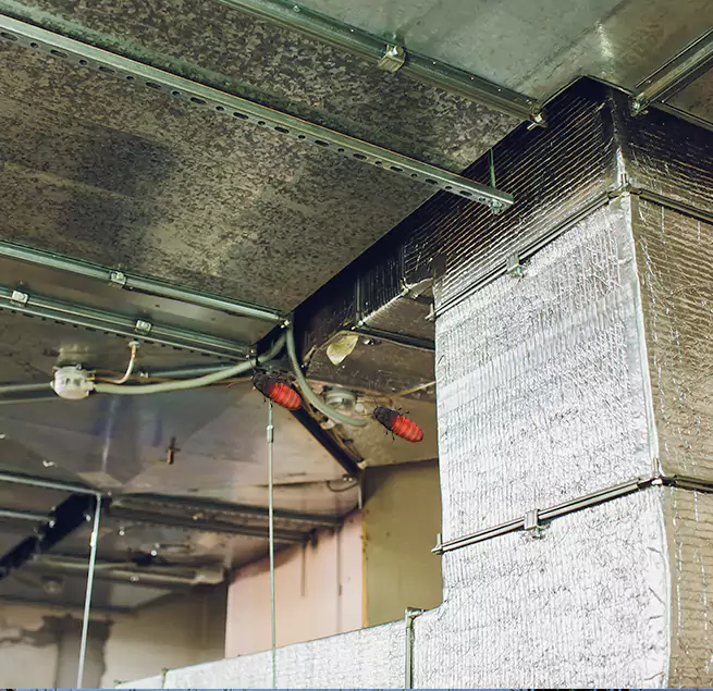 Why Homeowners & Businesses Trust Us in Pinole, CA?