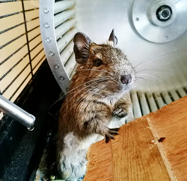 Why Homeowners & Businesses Trust Us Pinole, CA