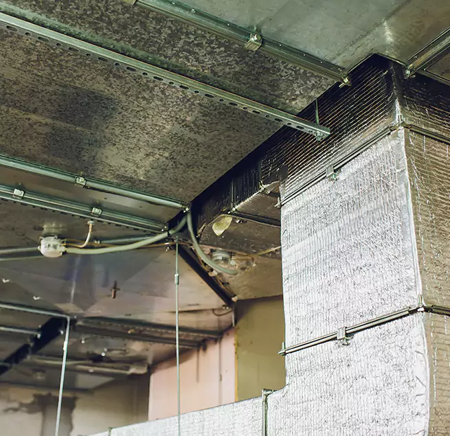 Why Homeowners & Businesses Trust Us in Pinole, CA?